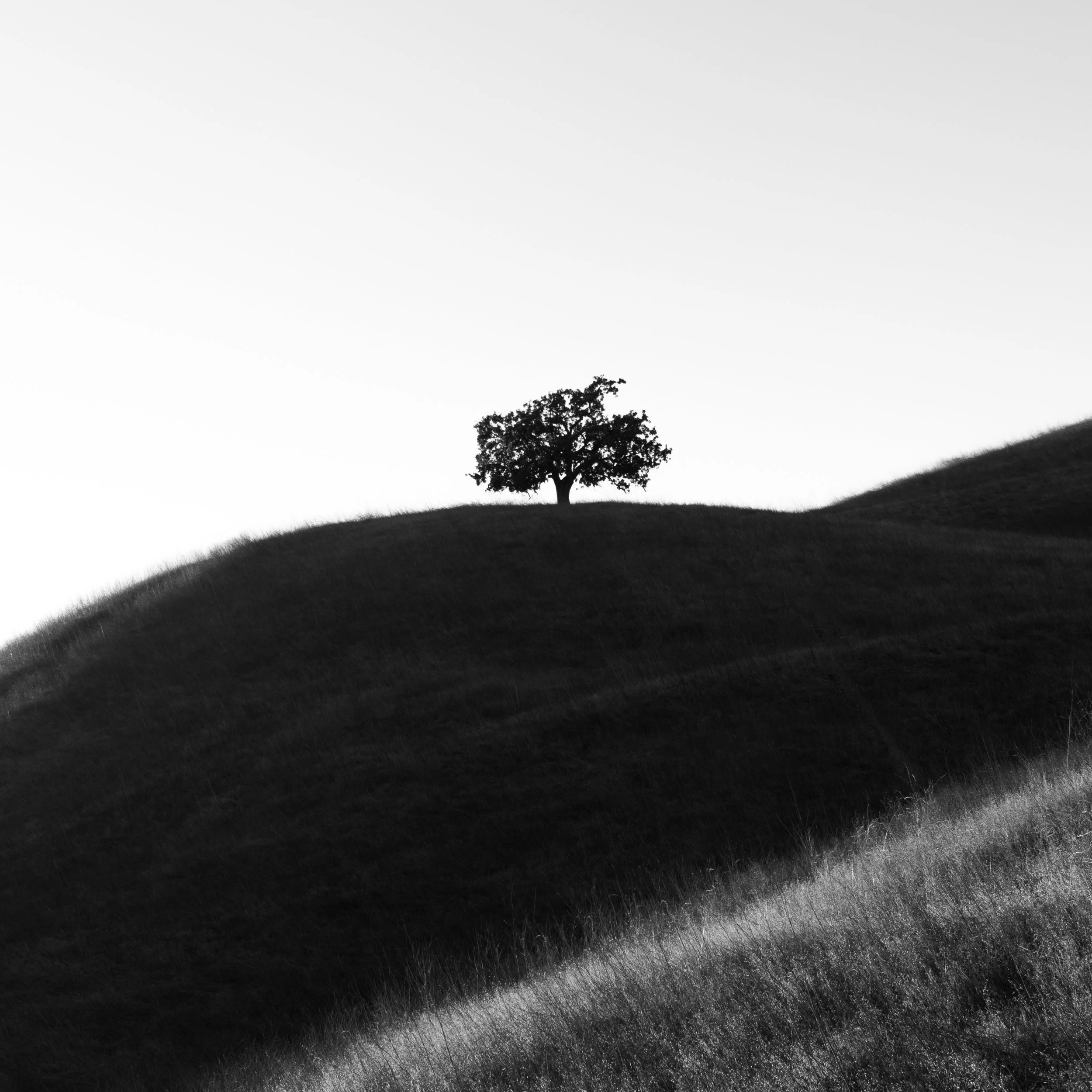 Las Virgenes Canyon X