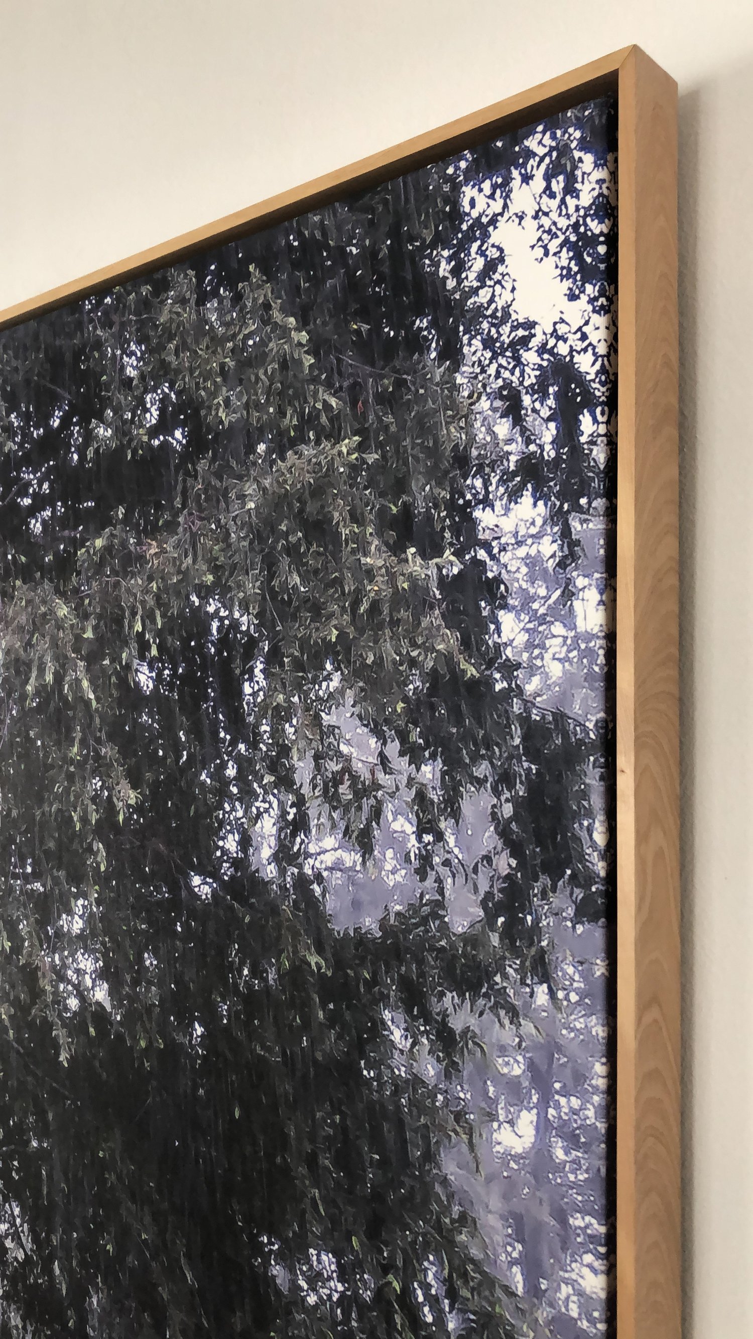 Close-up of a framed painting depicting a tree with dense foliage, viewed from the side.