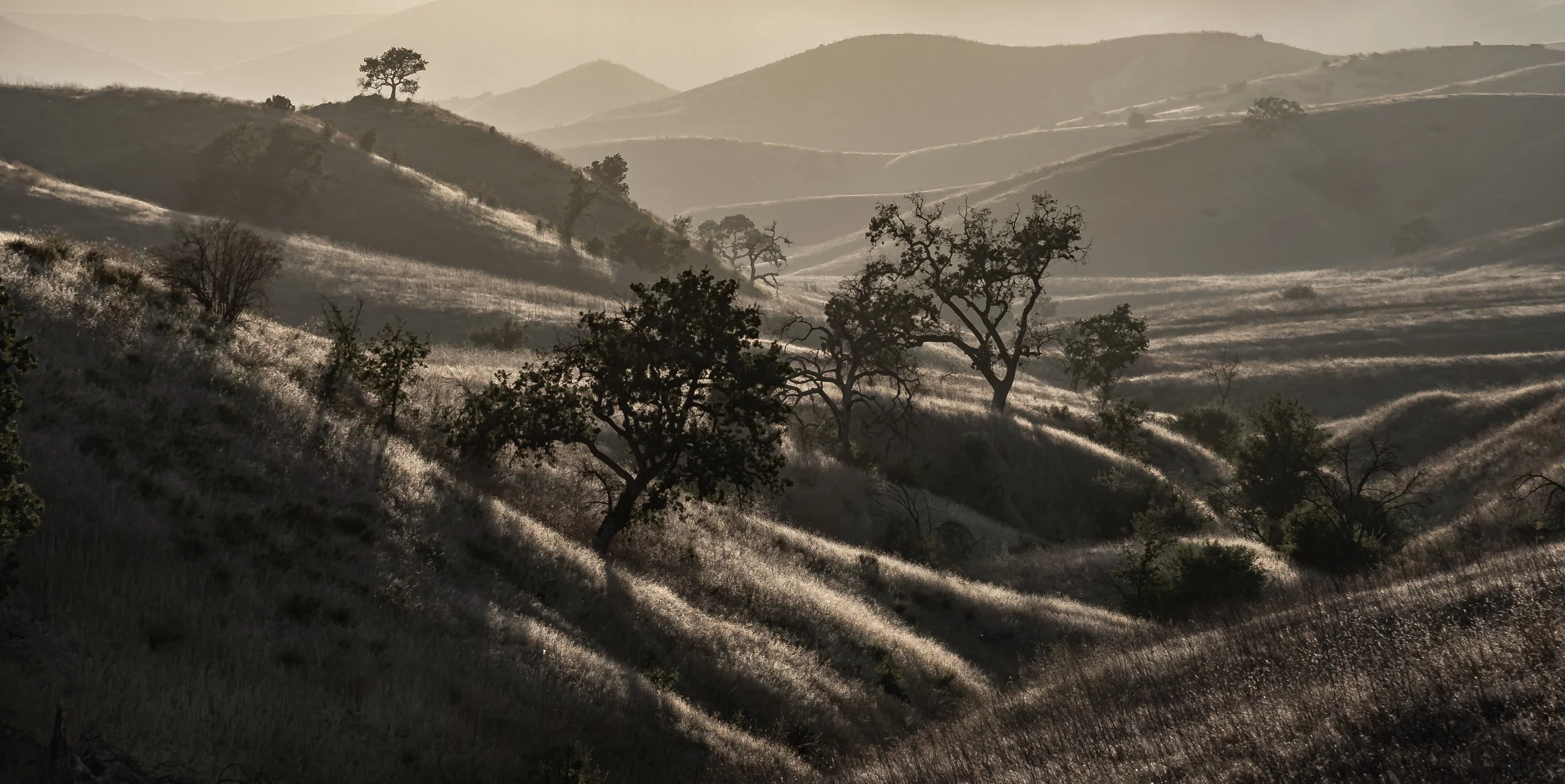 Las Virgenes Canyon VII
