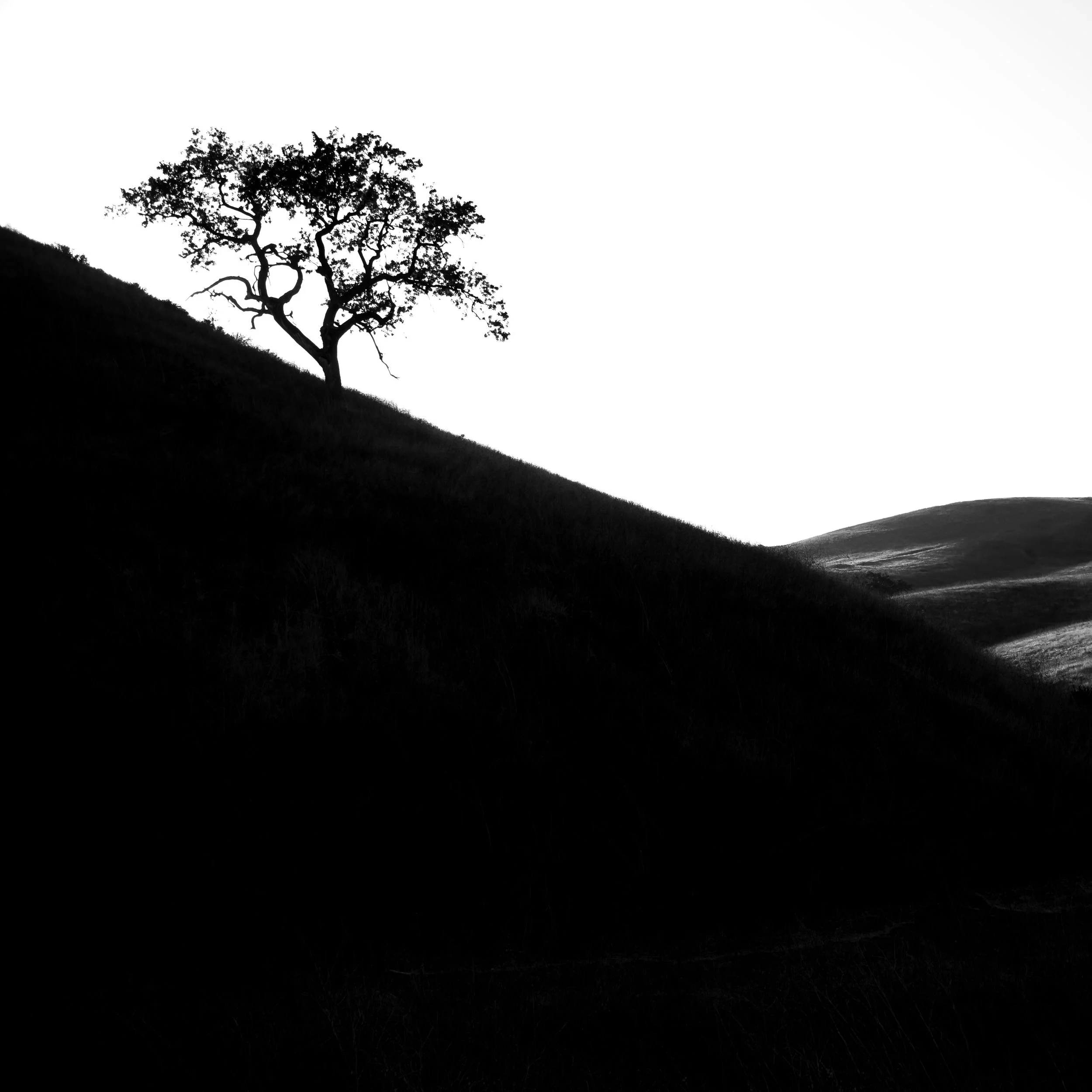Las Virgenes Canyon IV
