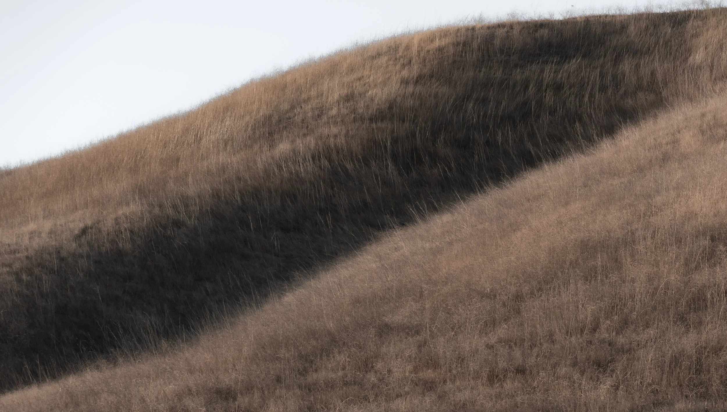 Las Virgenes Canyon IX