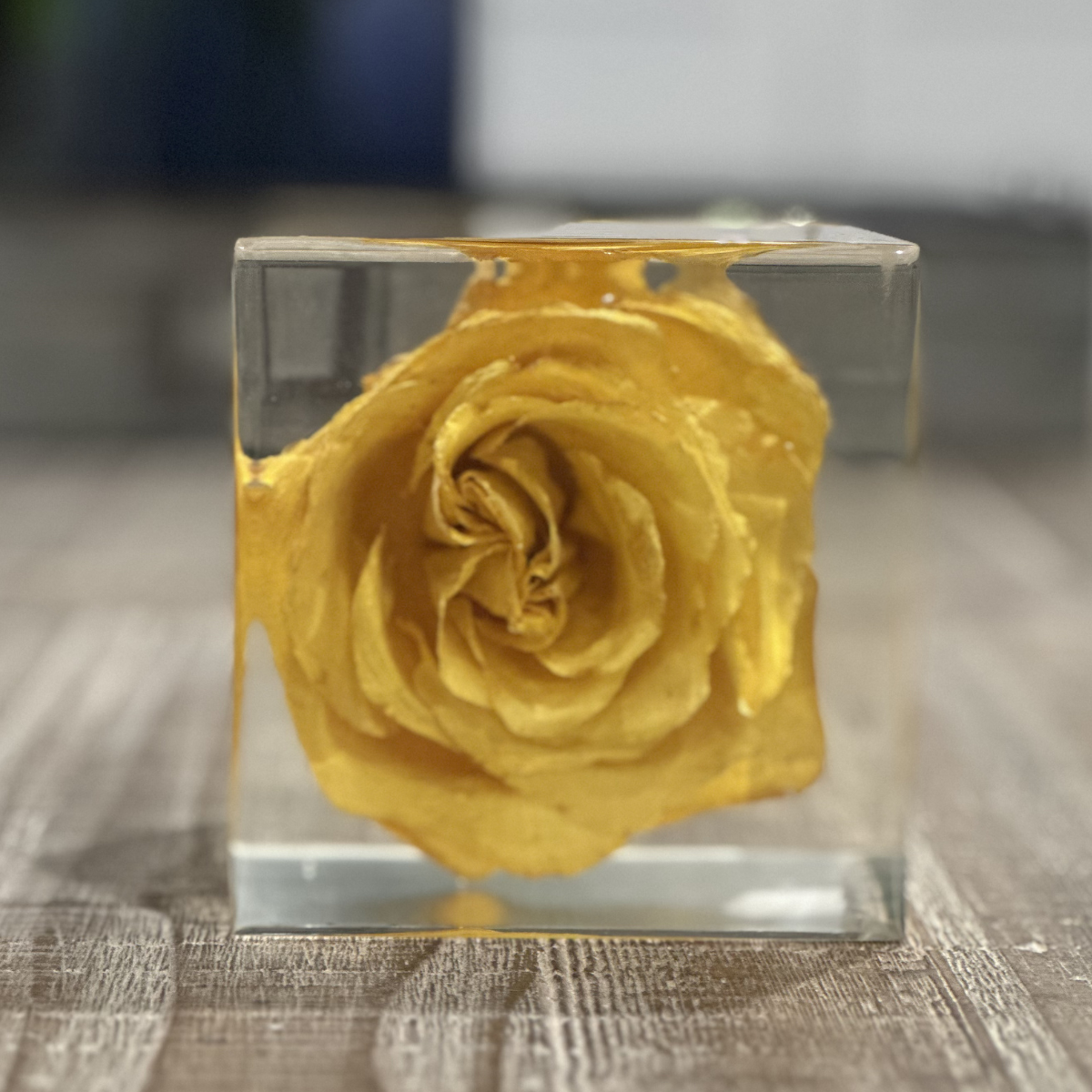 Memorial cube (1).png