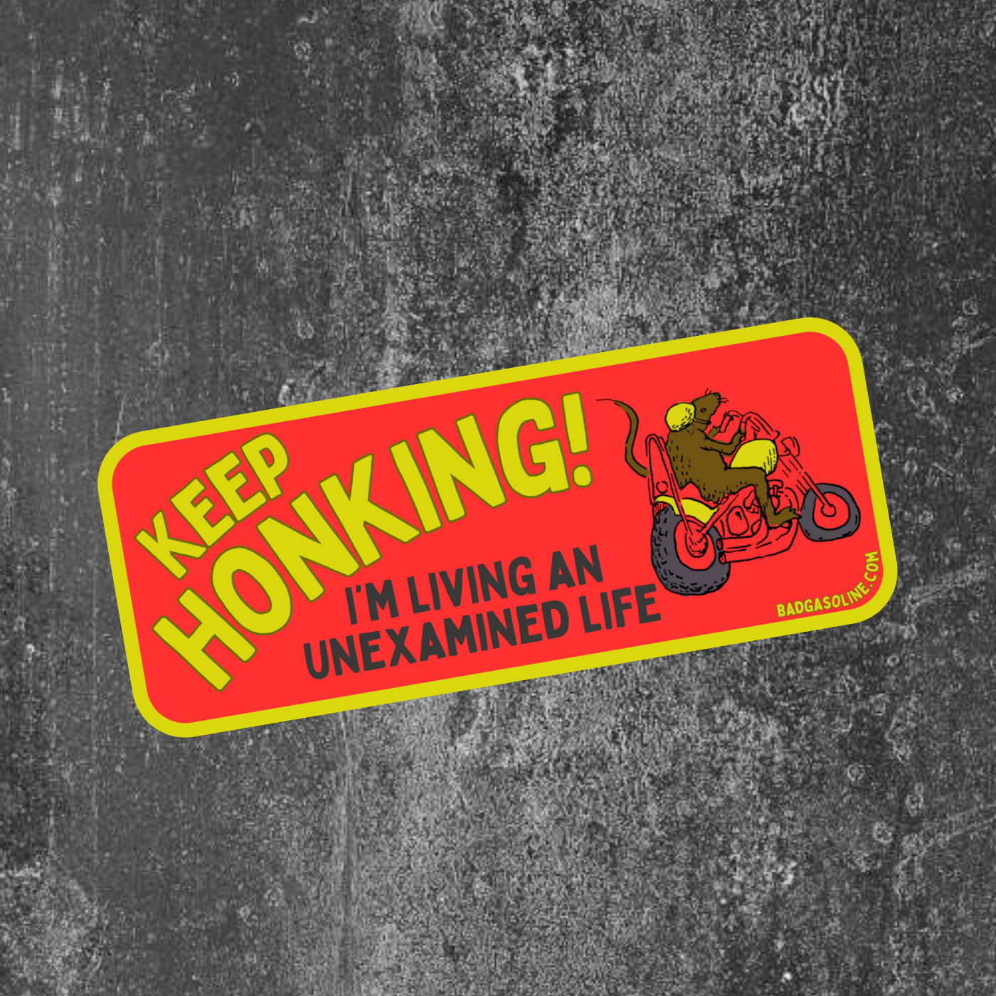 A Life Worth Living Bumper Sticker