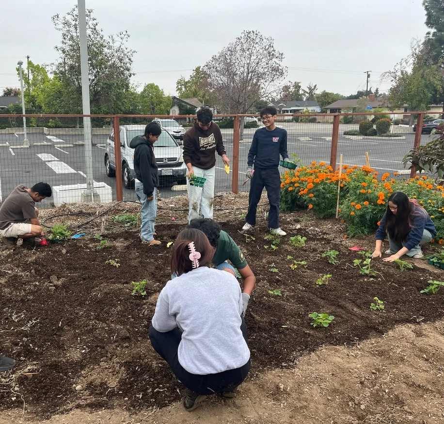 Group of youth tending to a garden and sowing seeds at an urban farm.