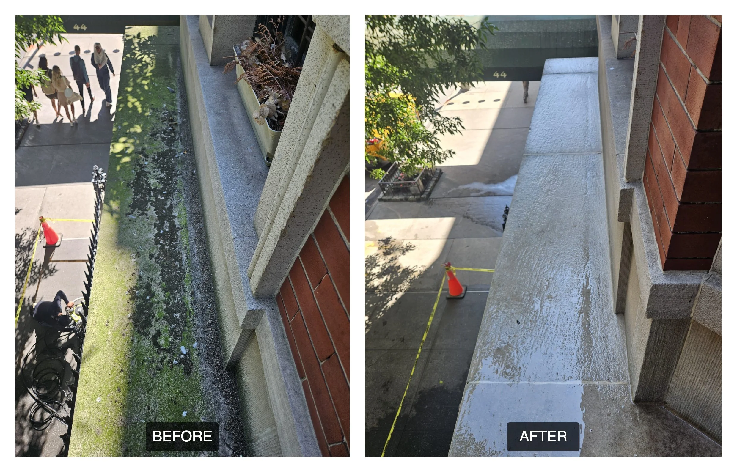 before-after-comparison (10).jpg