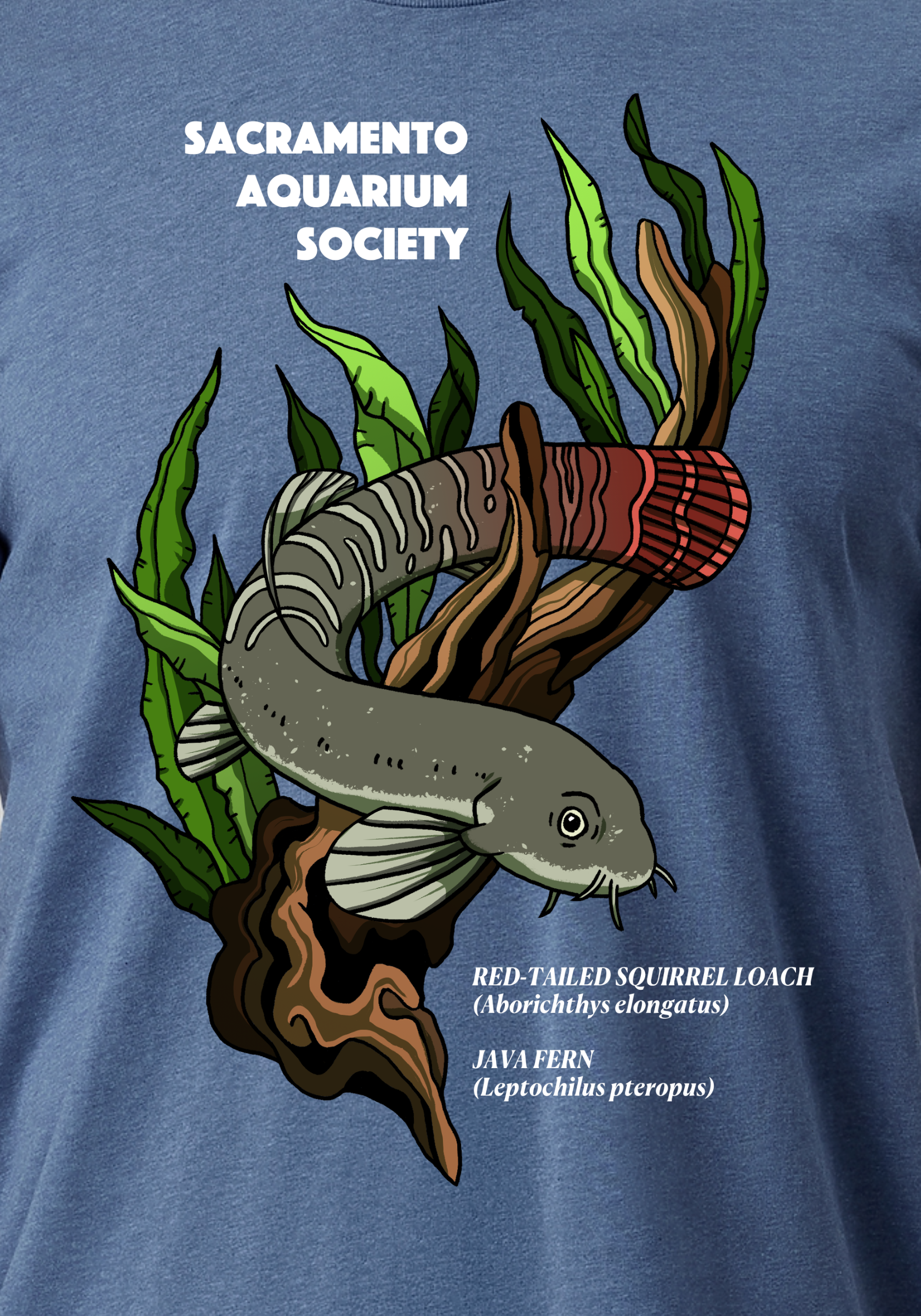 Loach Design-3 (1).png