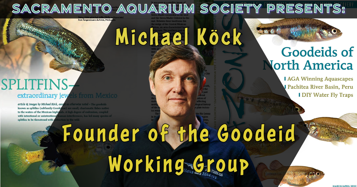 December Meeting - Michael Köck & Auction