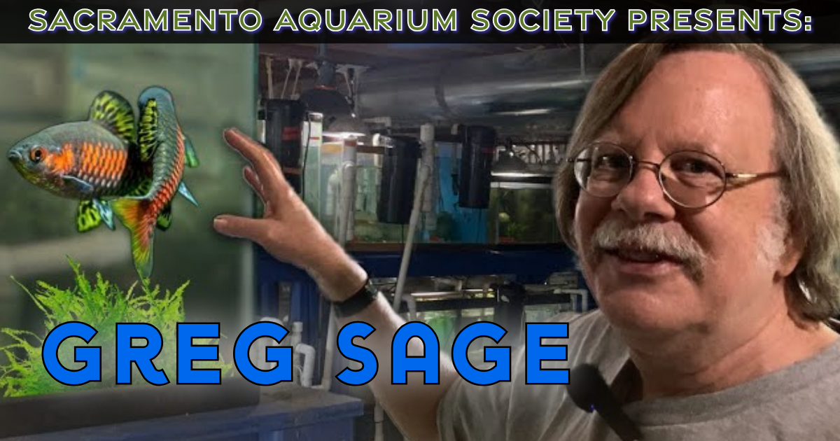 August Meeting - Greg Sage & Auction