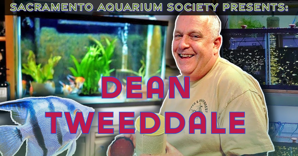 September Meeting - Dean Tweeddale & Auction