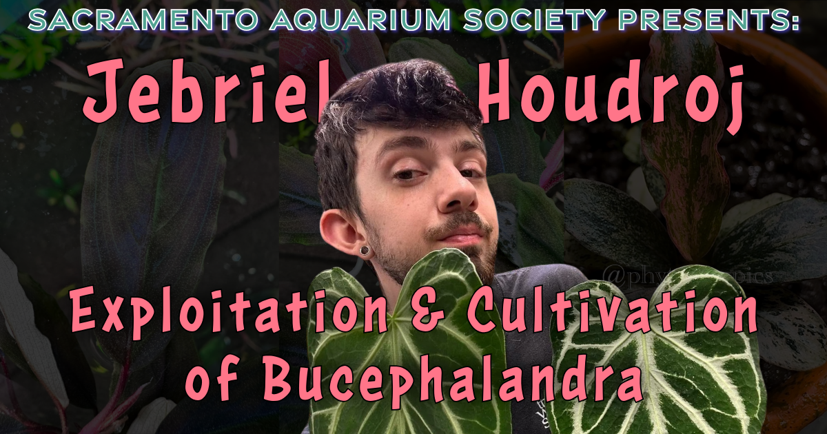 October Meeting - Jebriel Houdroj & Auction