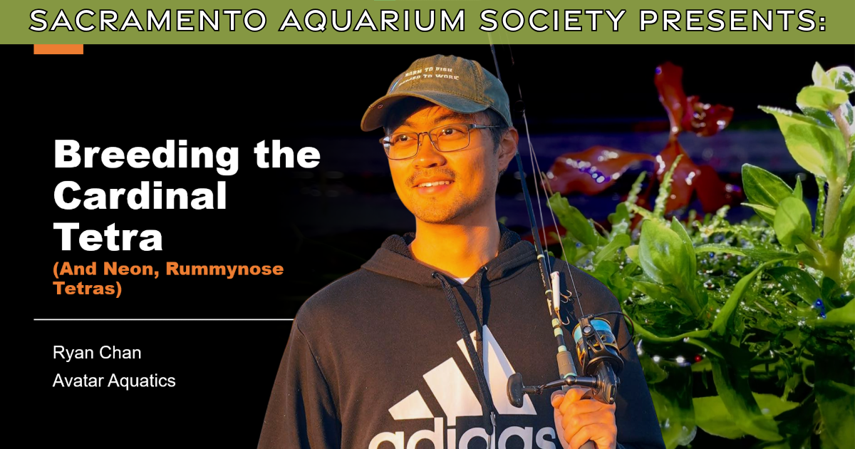 January Meeting - Ryan Chan &amp; Auction