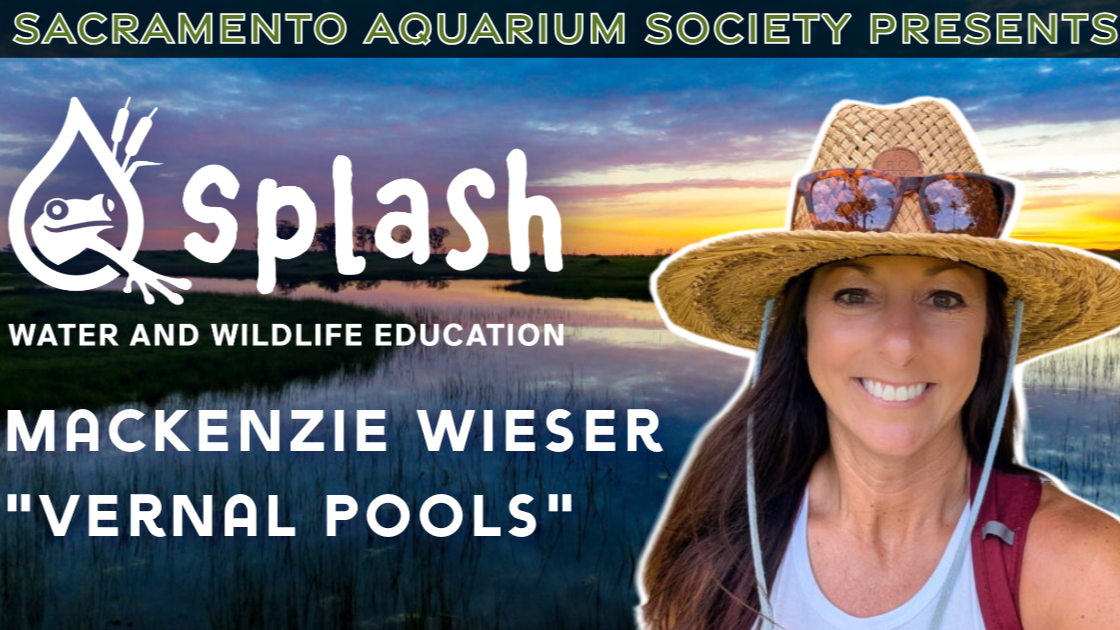 April Meeting - Splash Sacramento &amp; Auction