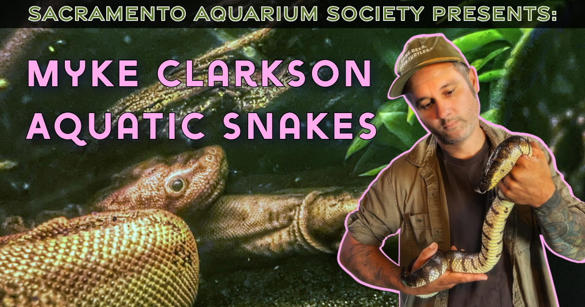 December Meeting - Myke Clarkson &amp; Auction