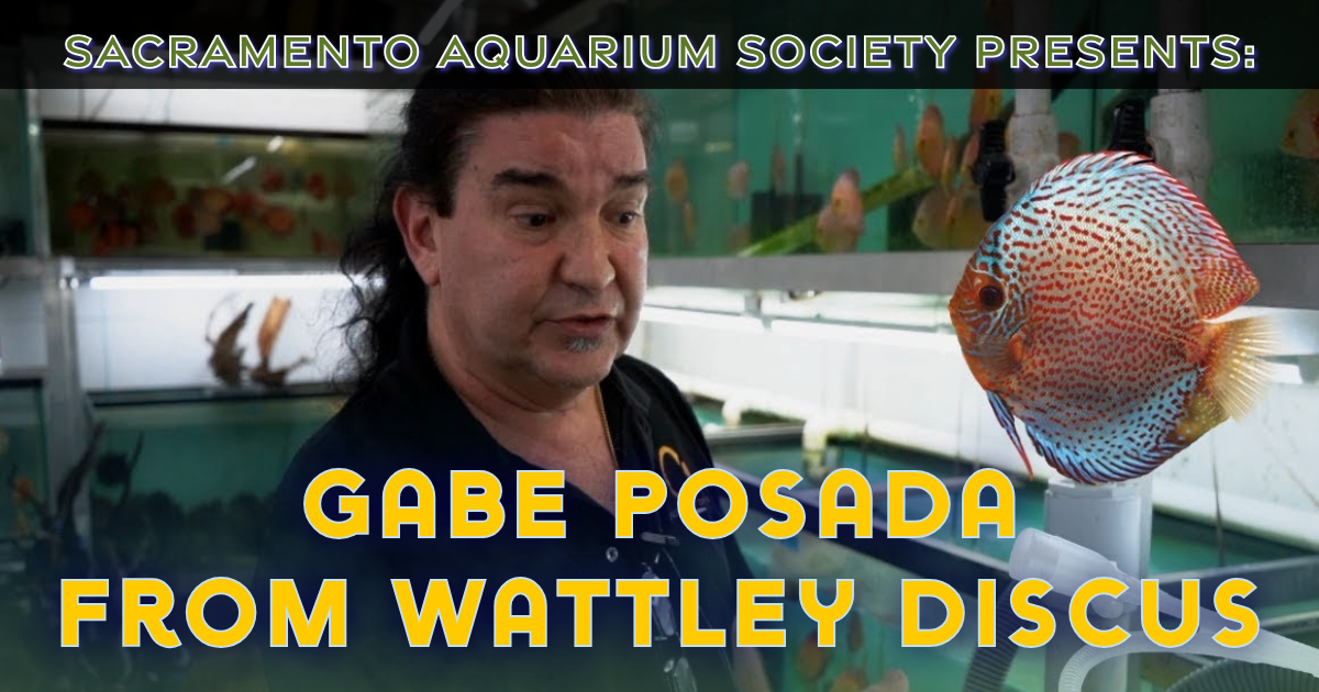 July Meeting - Gabe Posada &amp; Auction