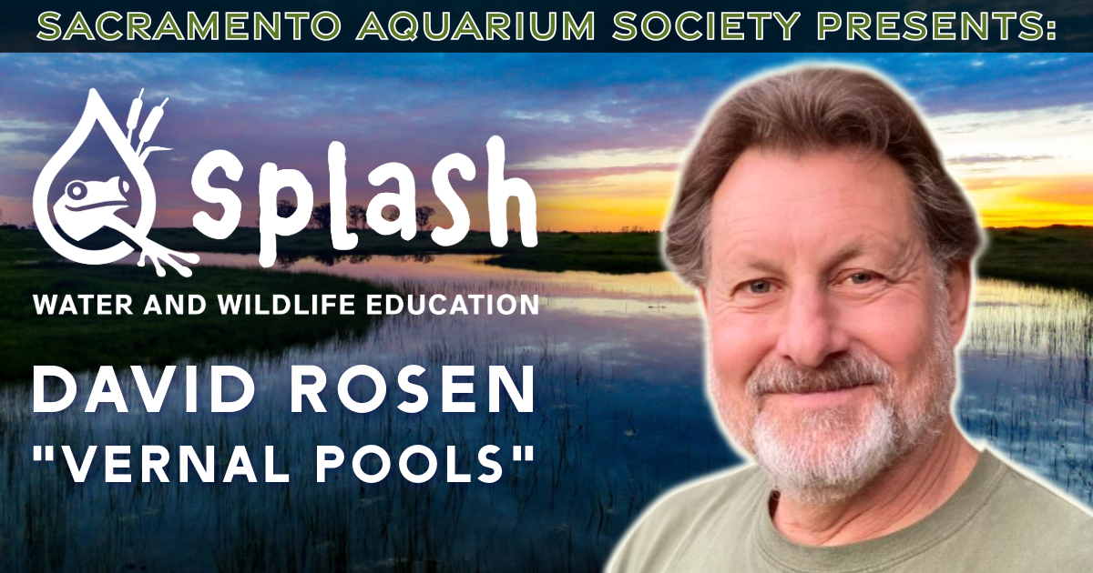 April Meeting - Splash Sacramento &amp; Auction