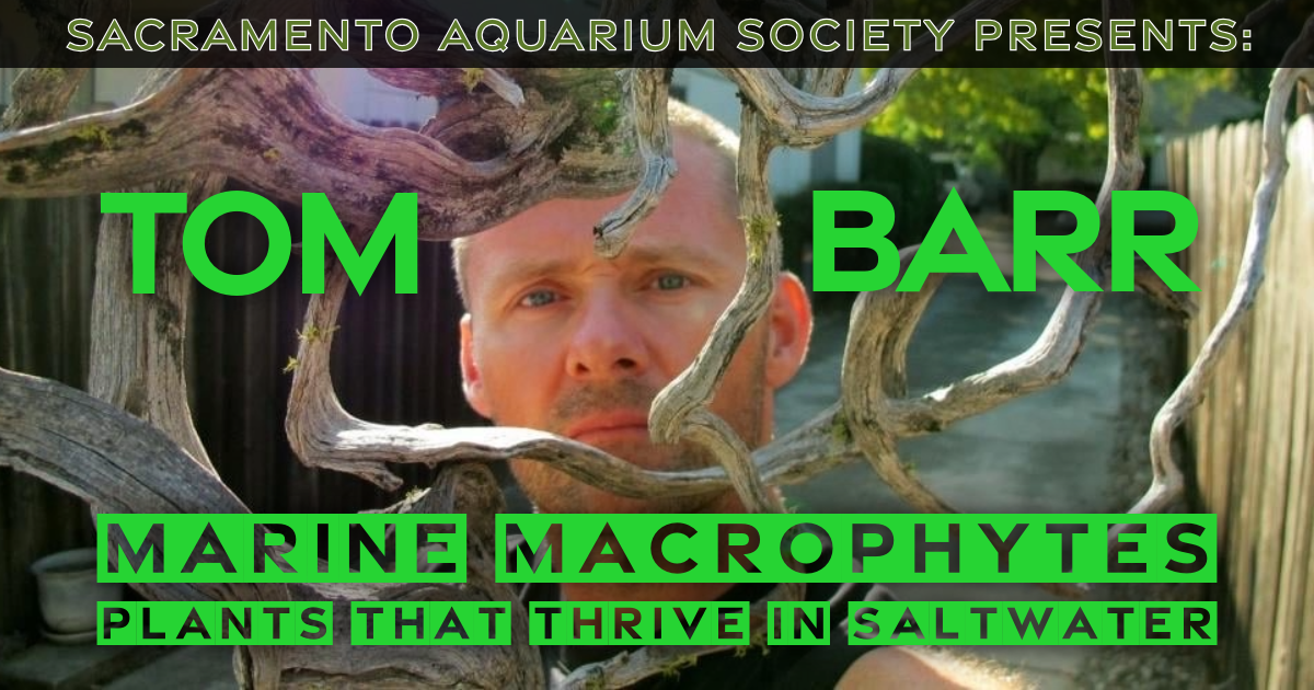June Meeting - Tom Barr &amp; Auction