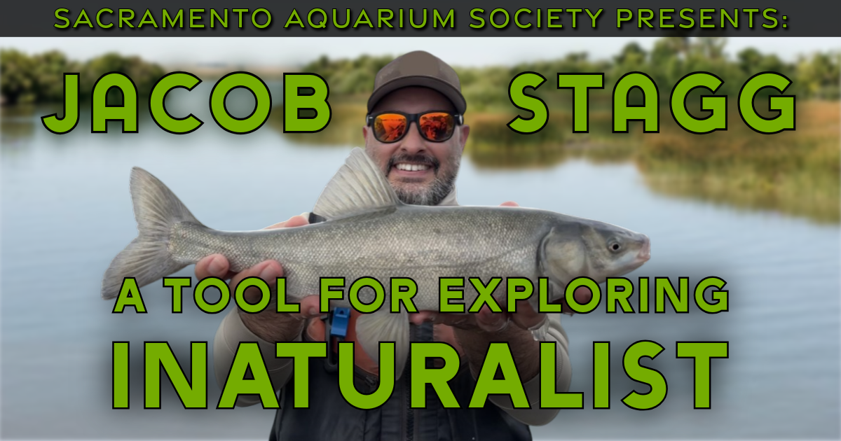 August Meeting - Jacob Stagg &amp; Auction