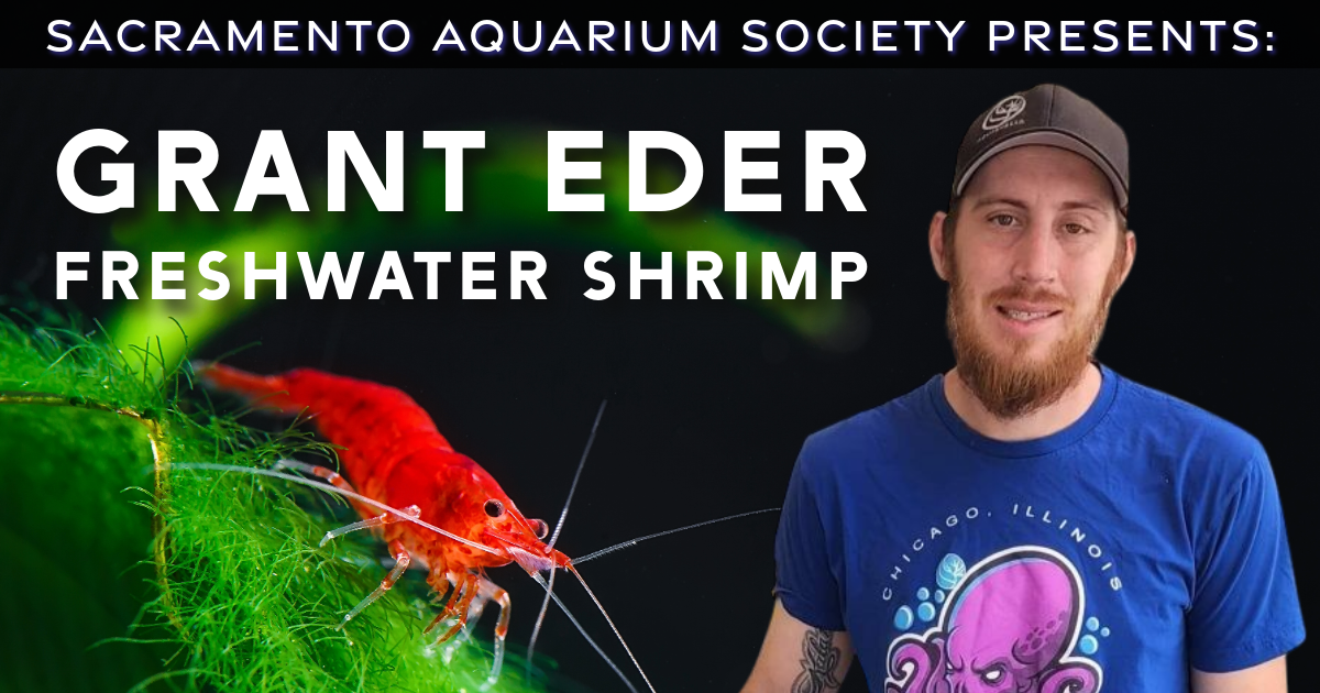 October Meeting - Grant Eder speaks about Shrimp &amp; Auction
