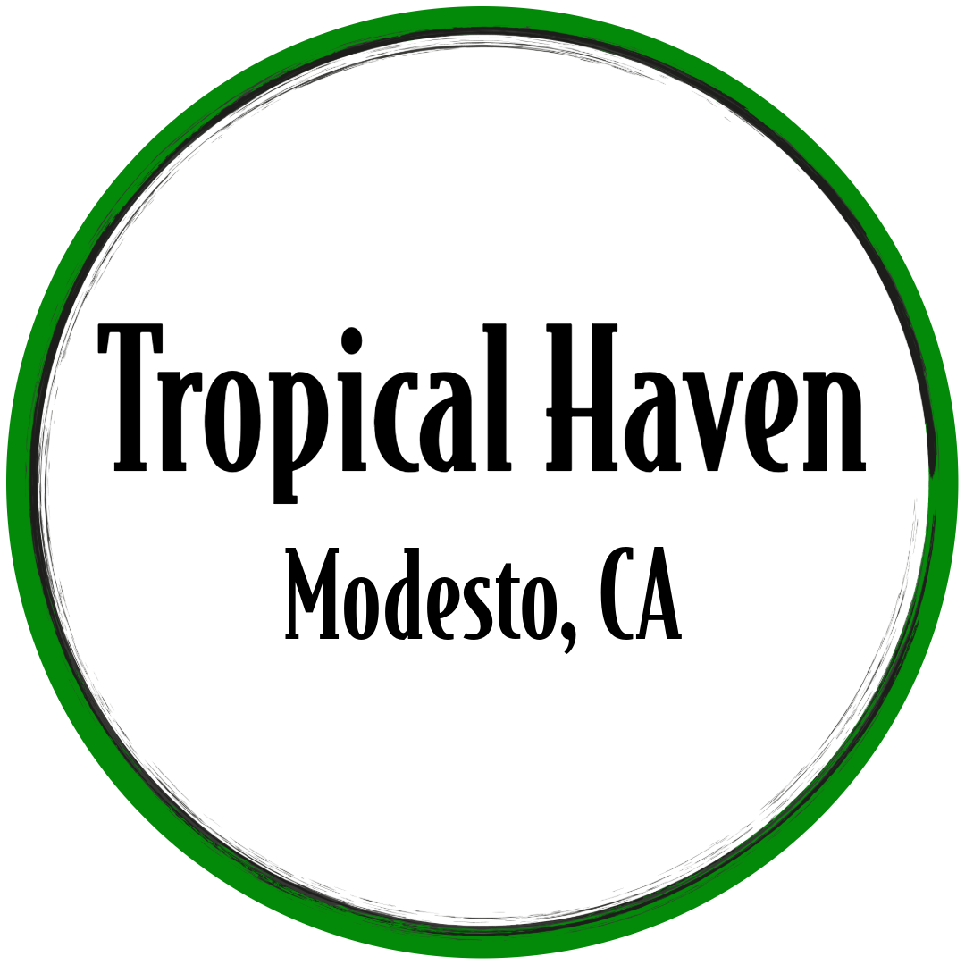 Tropical Haven - Local Partner Store
