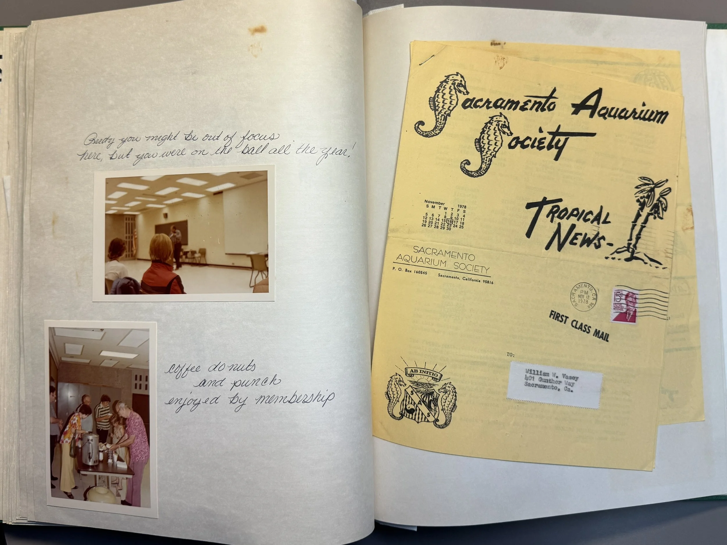 dePolo_scrapbook_1 (1).JPG