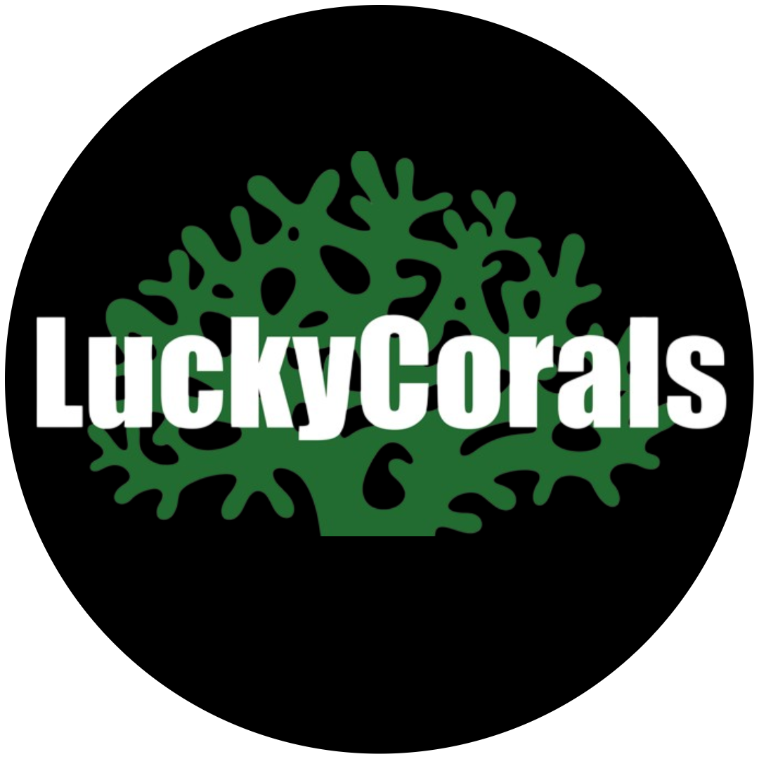 Lucky Corals - Local Partner Store - Online