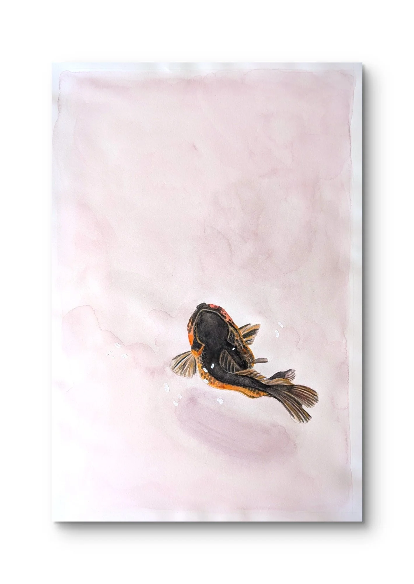 Coming to Light, 2026