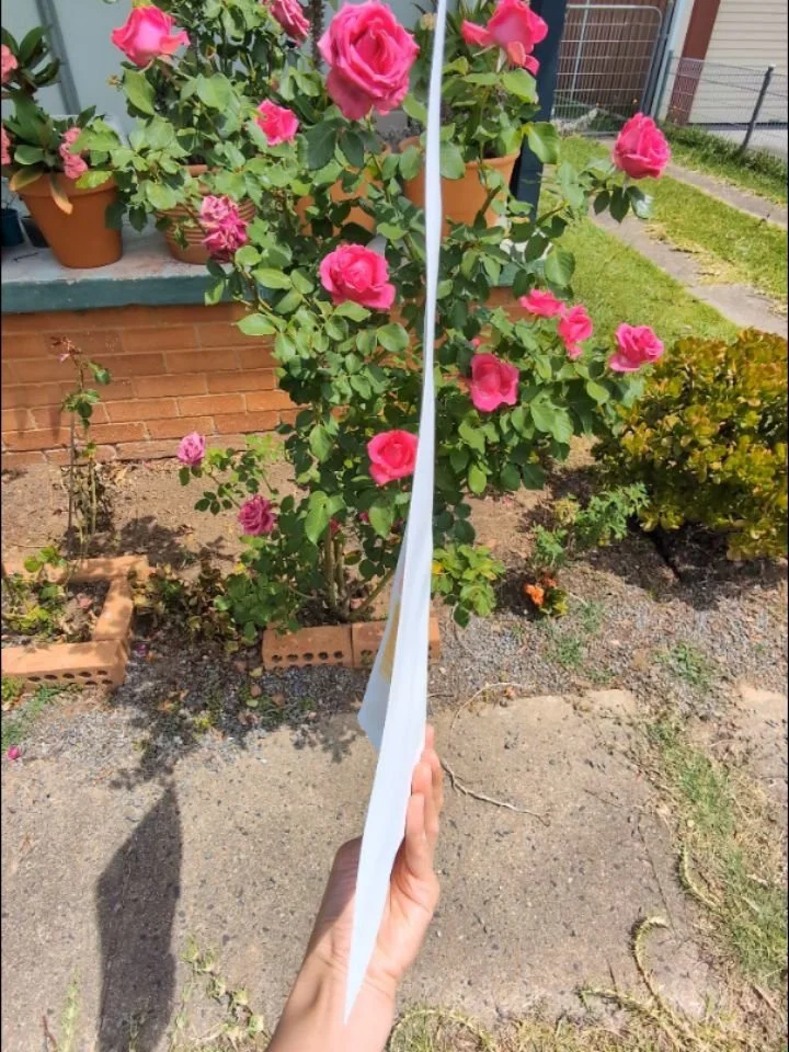 This painting is accidentally a bit festive and a bit Harry Potter 🎄🧙

It was actually quite fun as it felt a bit like contained chaos. Lots of different fun things in bit sized portions.

&quot;Festive Magic&quot;
Acrylic on Arches oil paper
12 x 