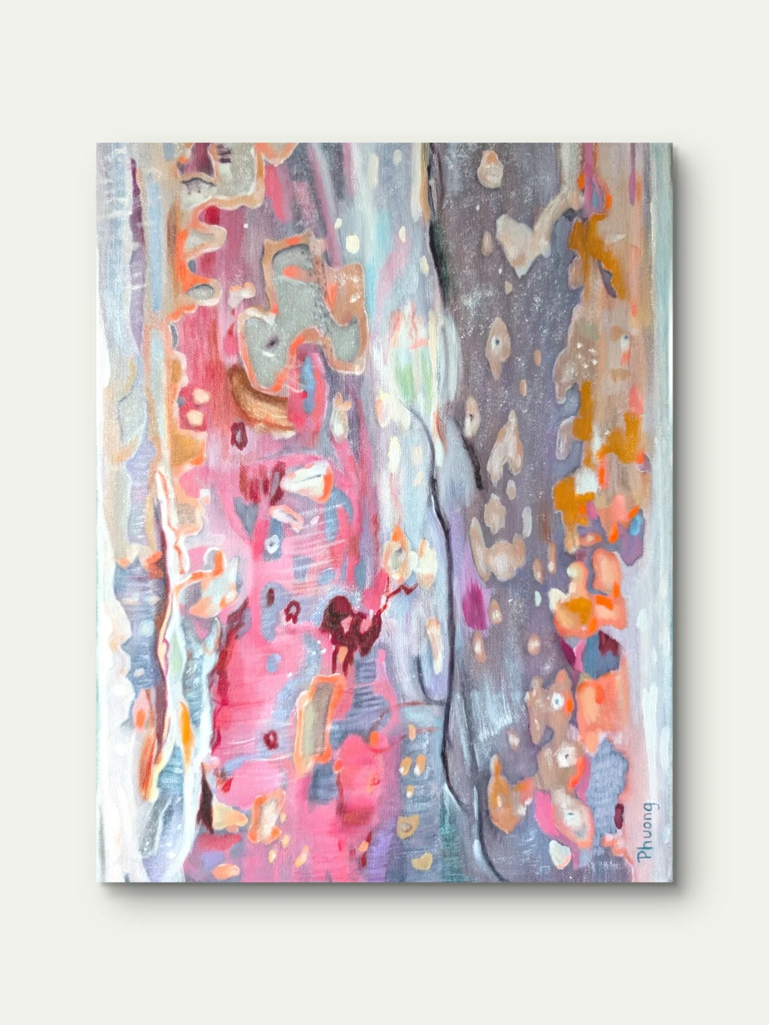 Gumtree Galaxy, 2024
