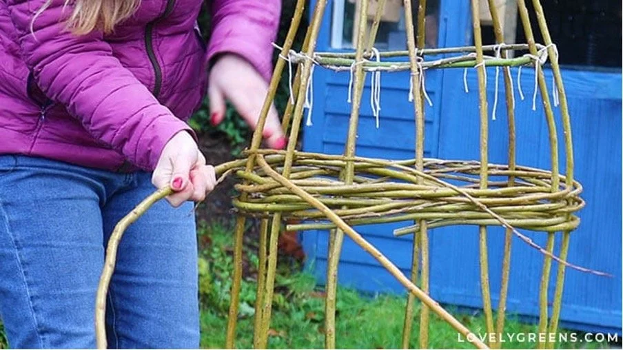 Step 5:  Weaving the Middle Band

The middle band of woven willow is a little more tricky to get started than the bottom rung. There isn’t the support of the container lip to help hold the three starter rods in place! If you can, ask a friend to hold