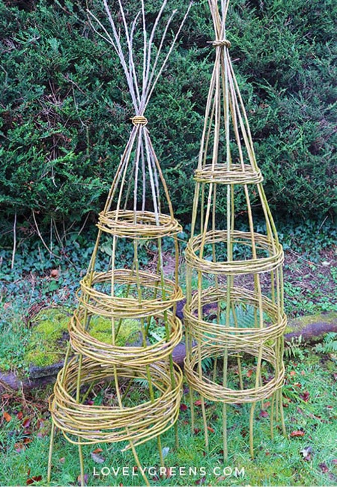 You can begin using it to grow your climbing plants right away in the garden, now! Push the legs into the soil and plant around each of the verticals.