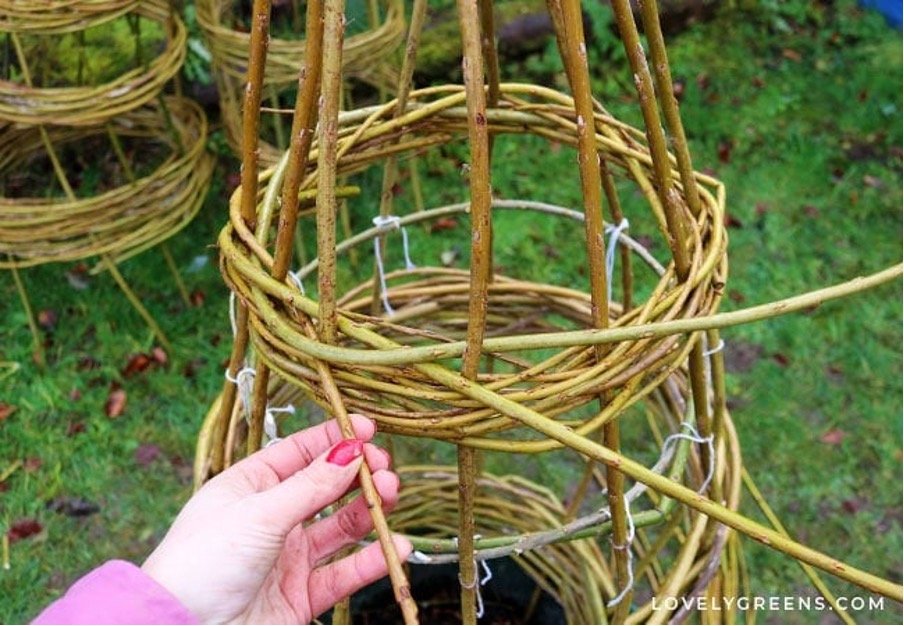 Step 6:  Weaving the Top Band

Creating it is exactly the same as weaving the other two, except you use the smallest willow rods from your bundle. 

What to do Next with your DIY Garden Obelisk

When you’ve finished weaving the top band, your willow 