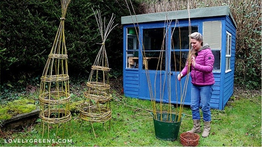 Step 1:
Making a Circle with the Verticals.  
Arrange the verticals in a circle, to create the sides of your wigwam. It can help to place the verticals in a bucket that’s filled with soil or sand. Each vertical should be about four inches from the ne
