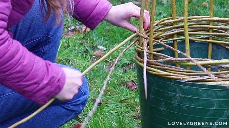  How to Add New Rods.  

When one of your weavers gets too short to reach across two and behind one, then you need to add a new rod. Select a new rod about the same size as the previous one and insert it into the weave. Place it on top of the one you