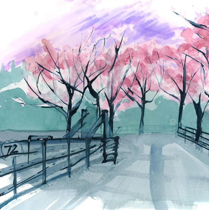 Cherry Blossom Putaruru
