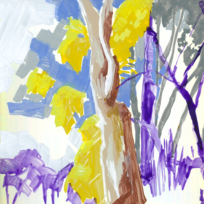 Wattle Holographic