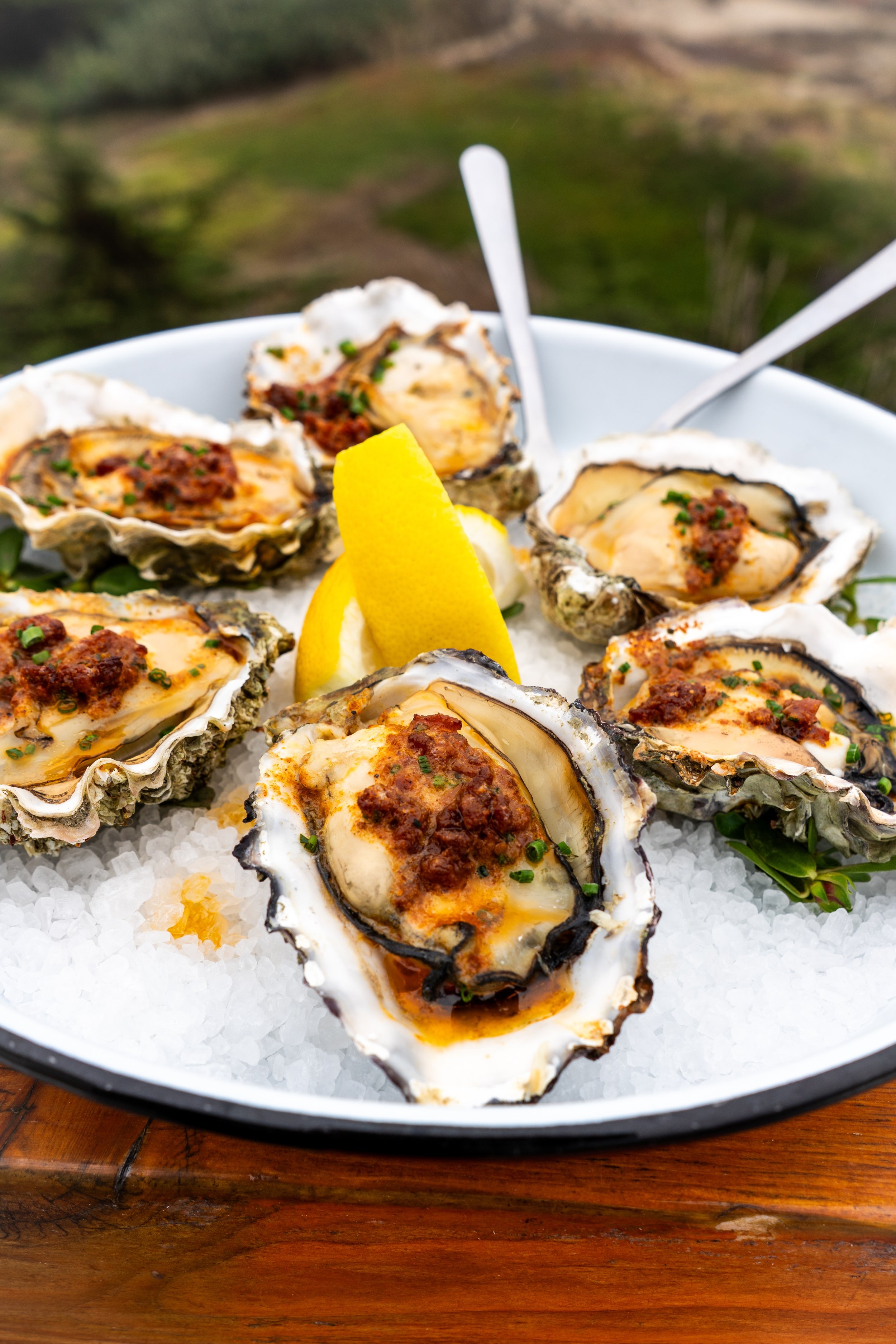 Oysters offered at the Coastal Kitchen located onsite at Dillon Beach Resort