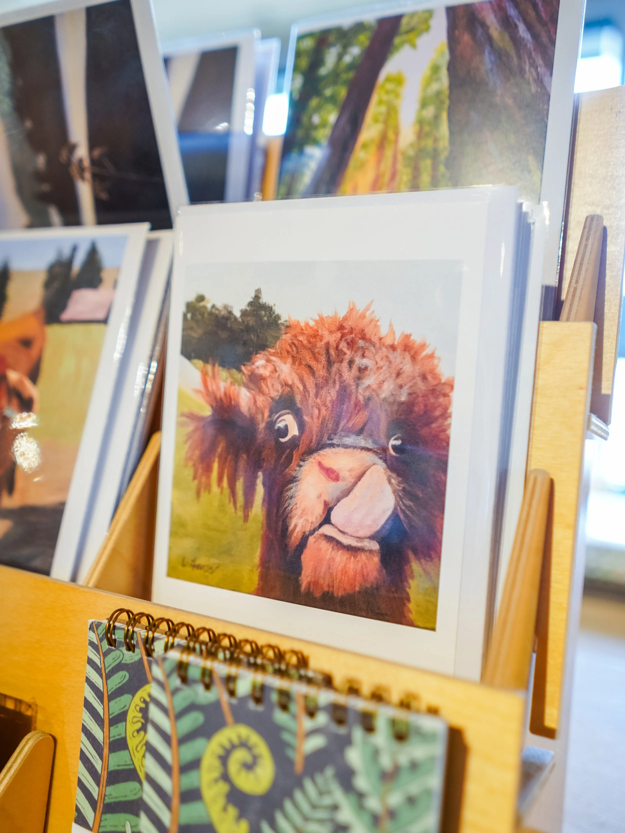Display of postcards with colorful images, including a close-up of a lion's face and a landscape of trees, arranged on a wooden stand.