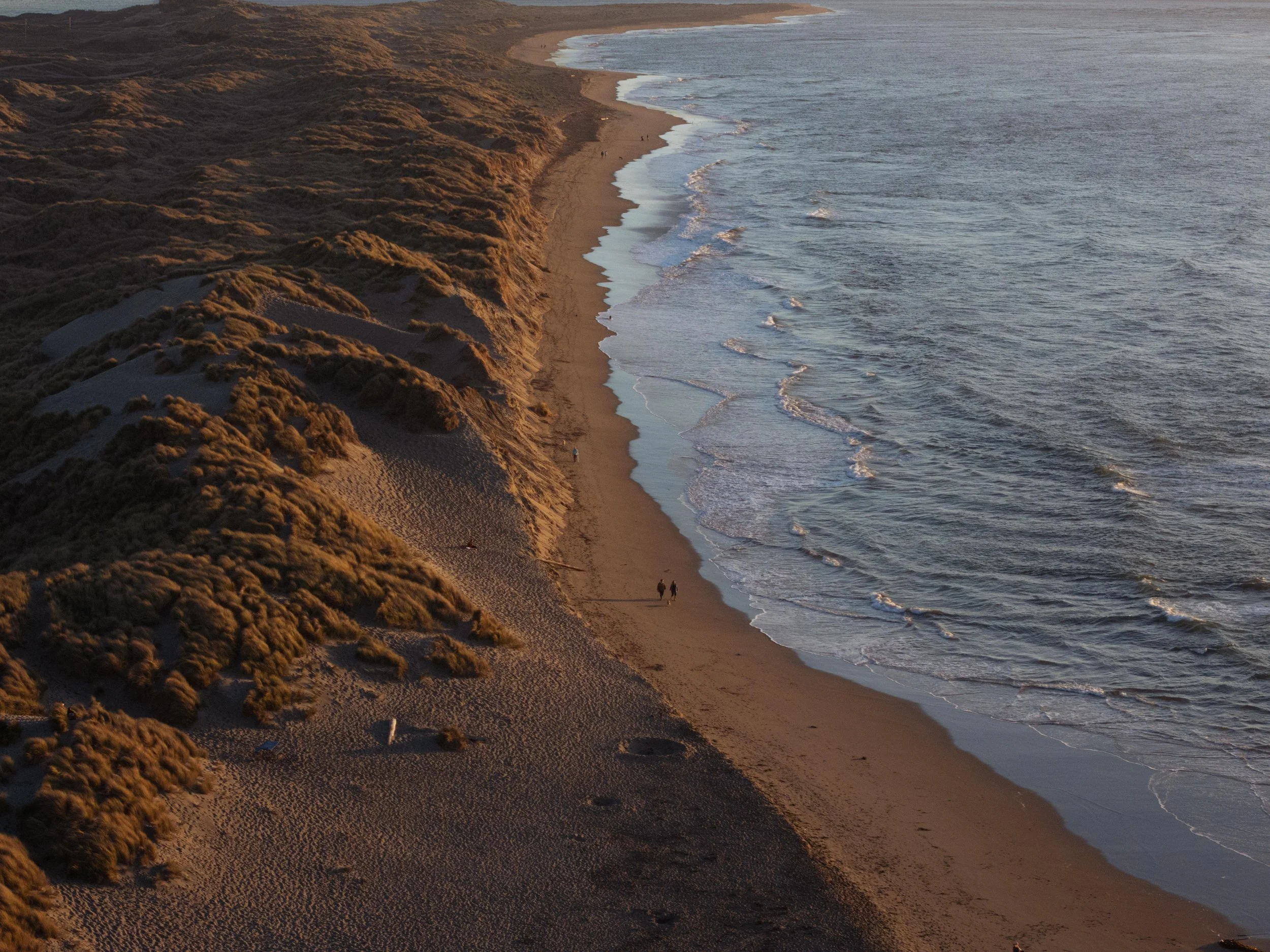 Aerial view of a sandy beach along ocean with waves and grassy sand dunes bordering the coast, during sunset.