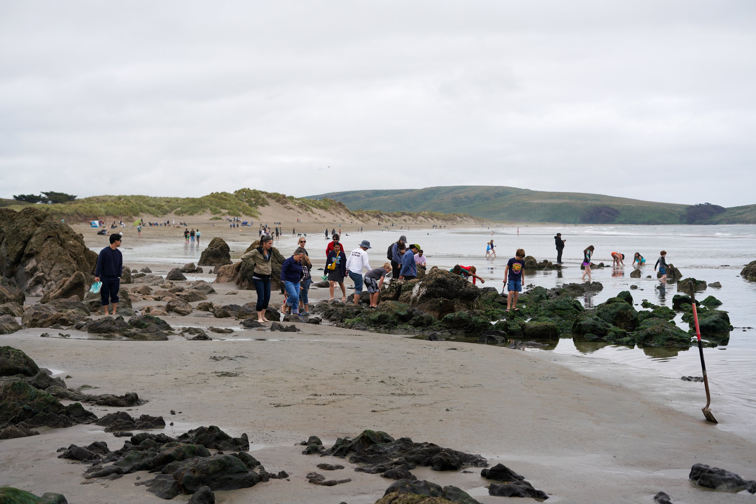 Dillon Beach Resort_people-exploring-lowtide_.jpg