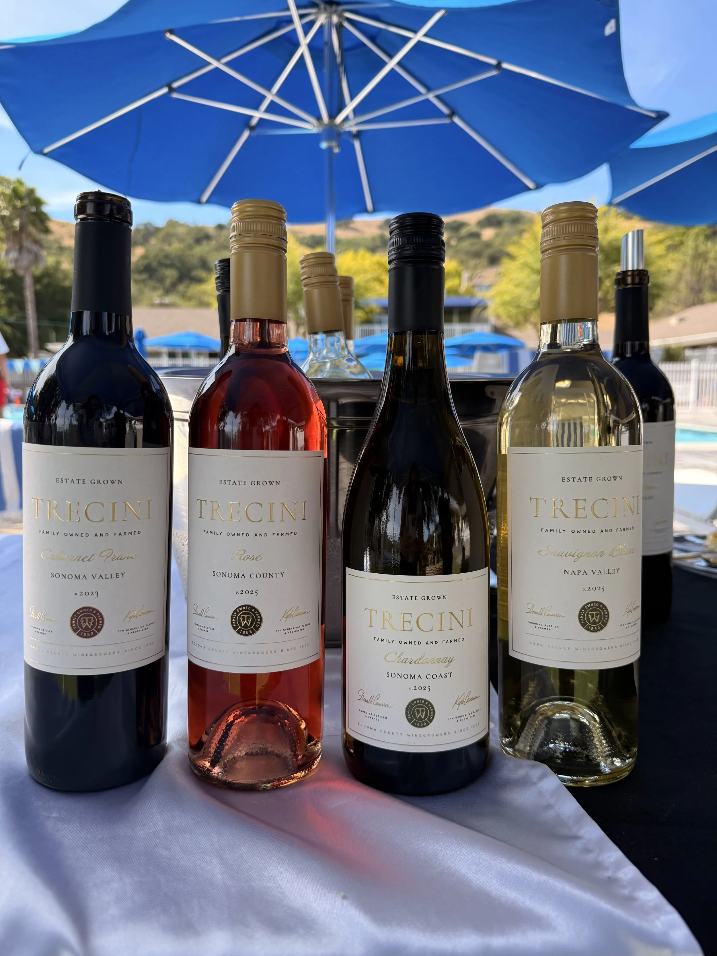 Trecini Winery Tasting on the Party Deck