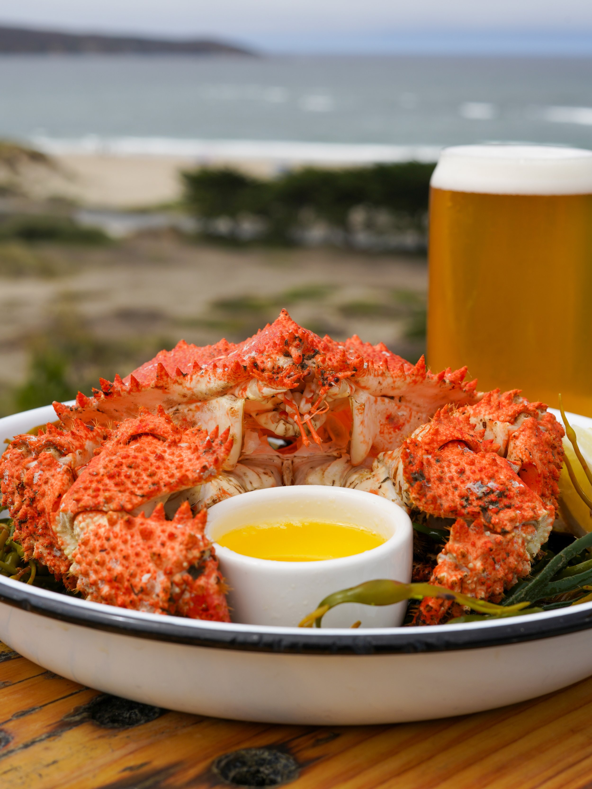 A plate of cooked lobster with melted butter in a small white dish, set against a beach and ocean background.