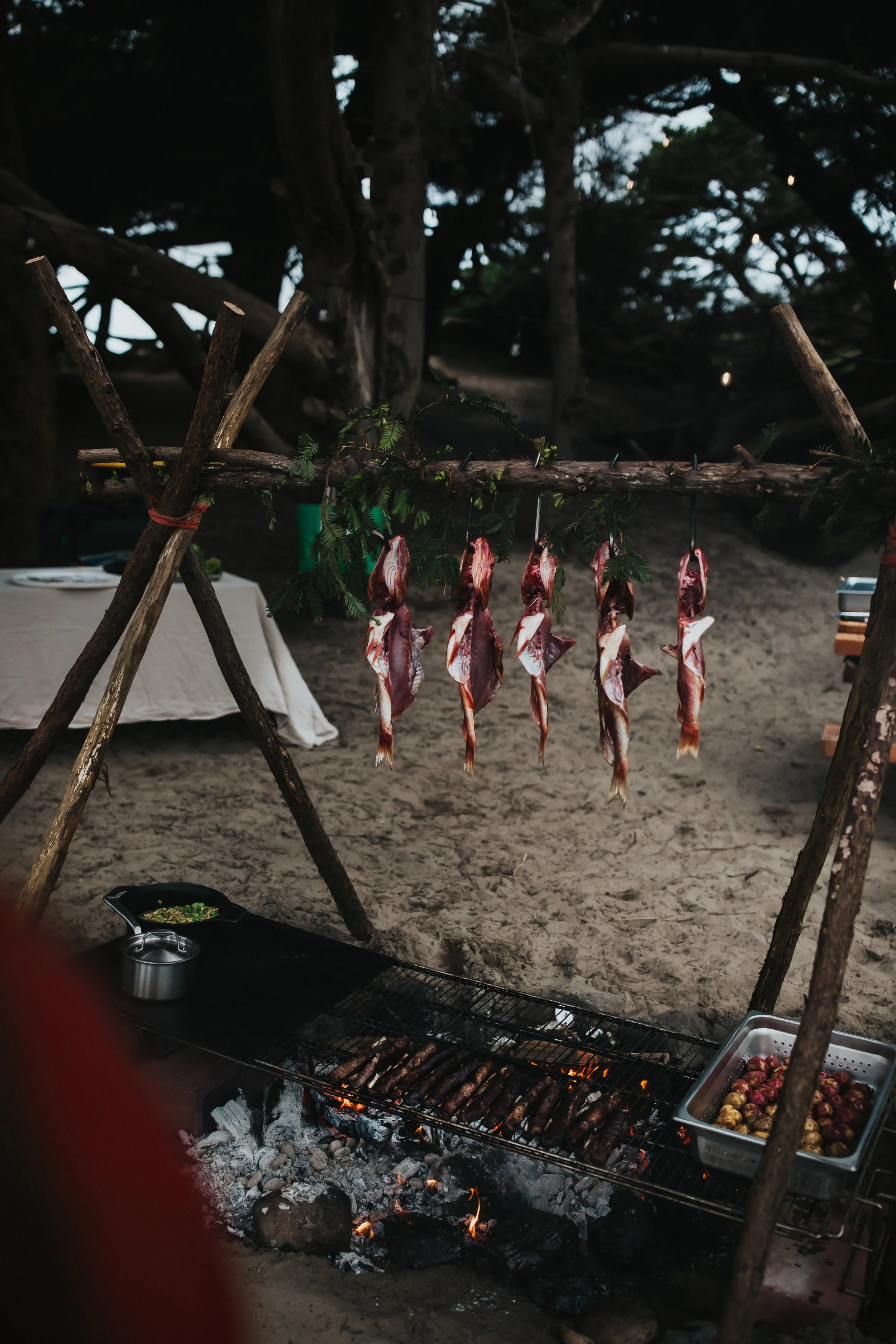 An outdoor open-fire feast at Dillon Beach Resort featuring whole fish slow-roasting over a wood-fired grill on the sand.