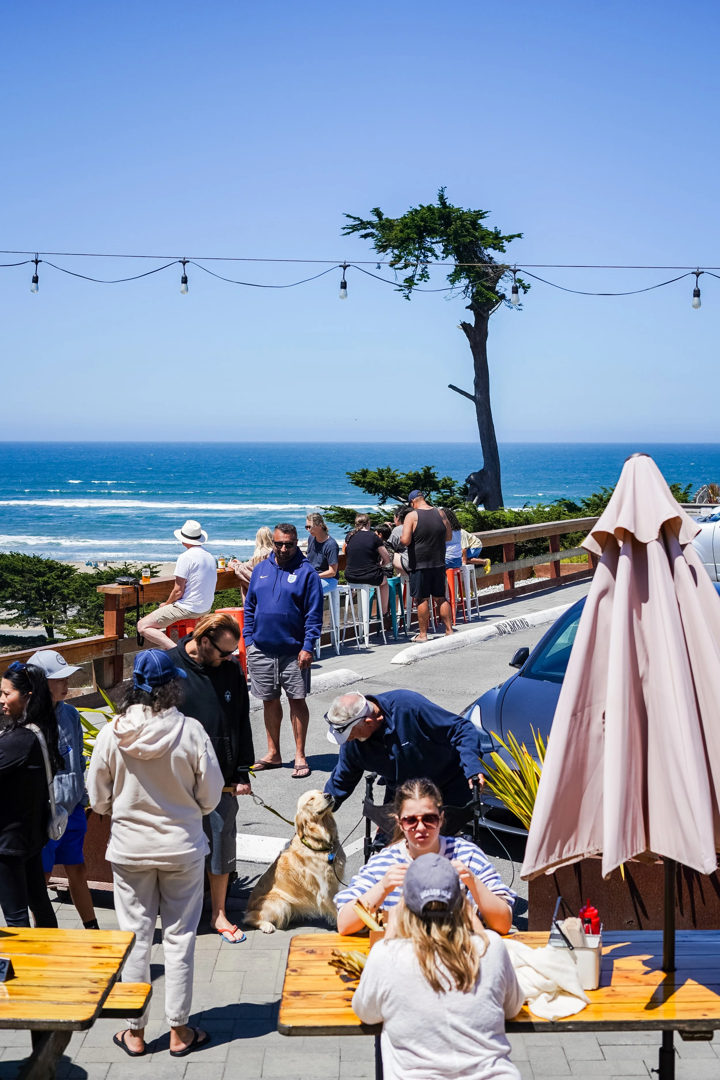 People dining outdoors at a beachside restaurant with ocean views, some seated at tables and others standing, with dogs and umbrellas, under a clear blue sky.