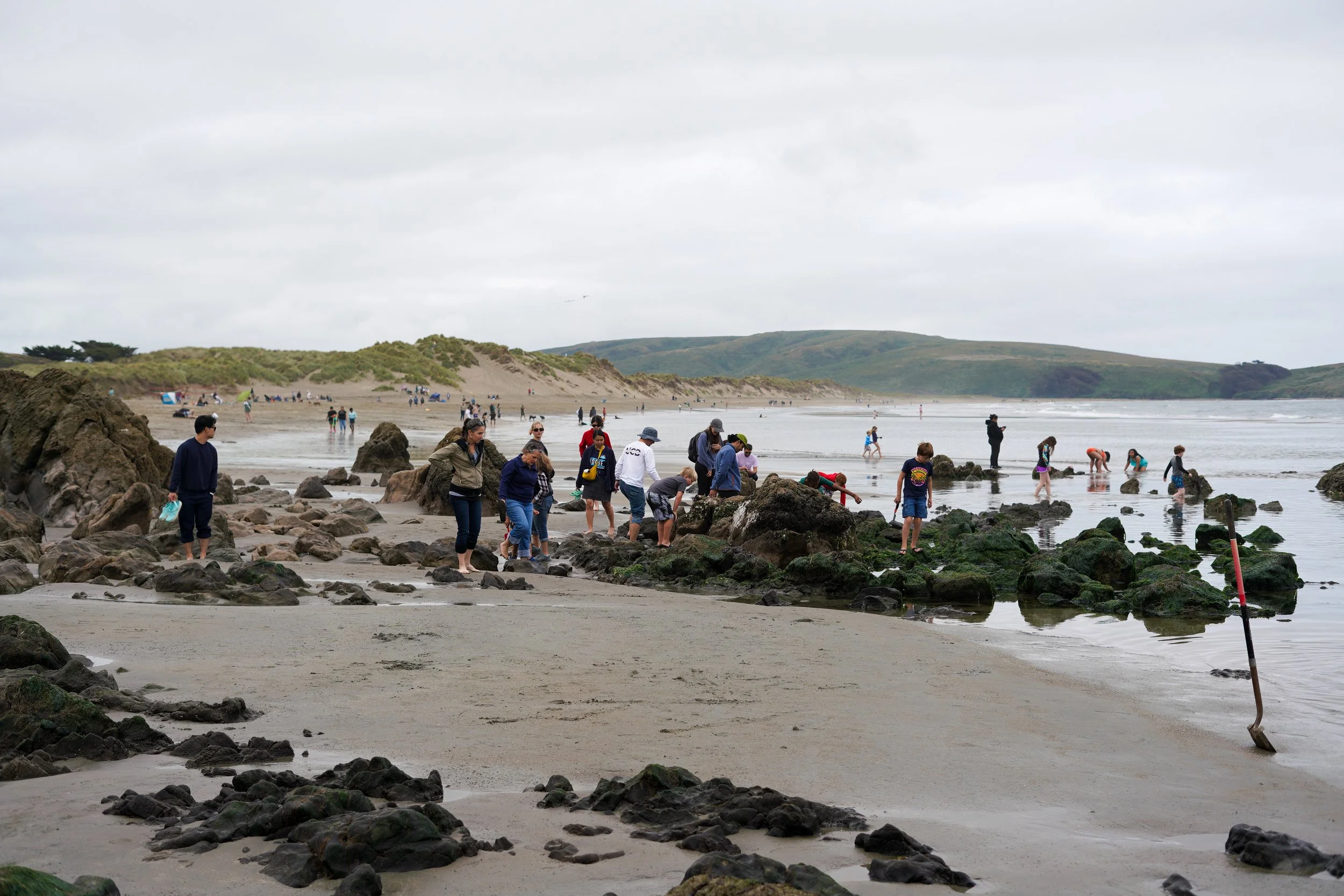 People exploring rocks and tide pools on a cloudy beach, with dunes and hills in the background.