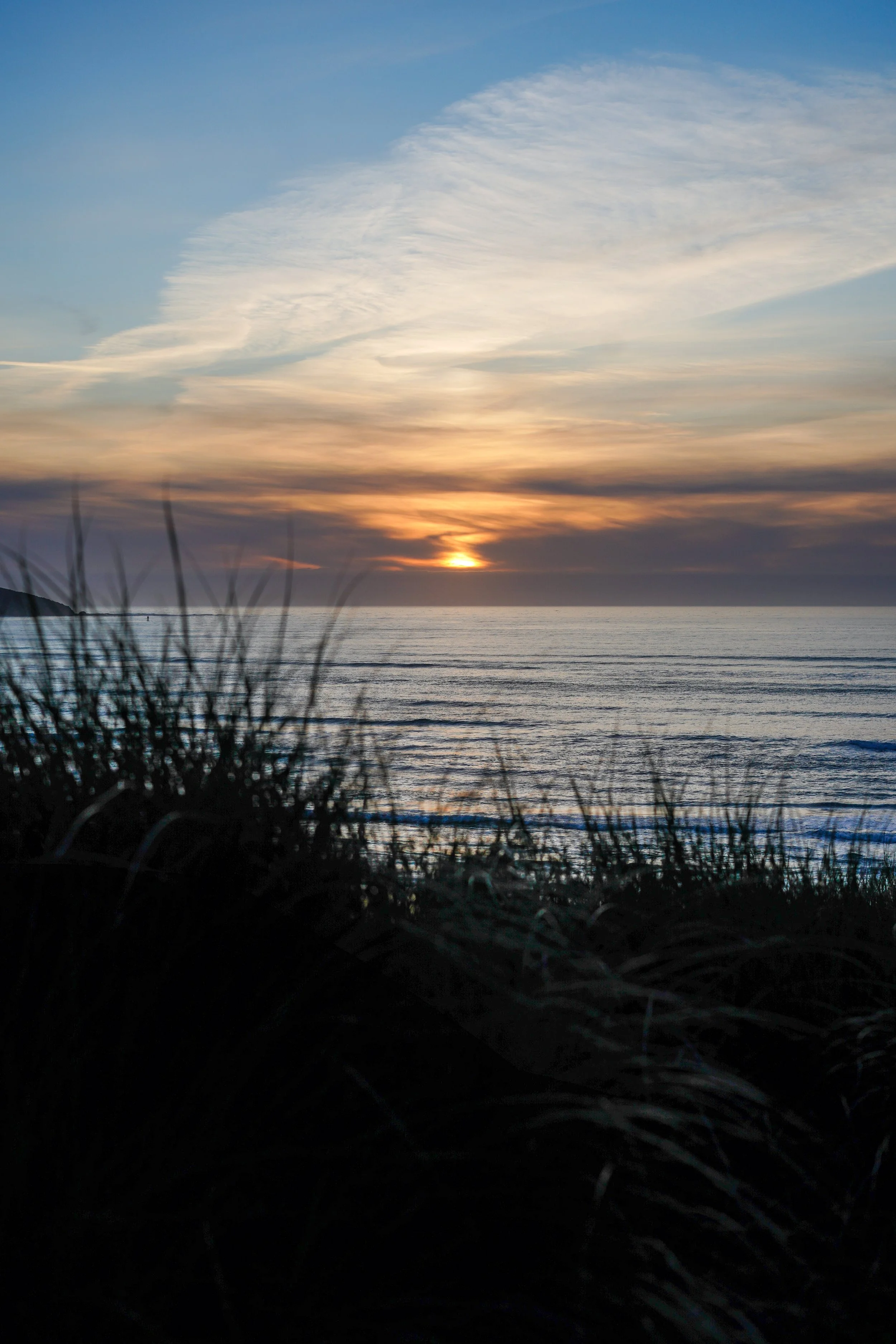 Sunset over the ocean with colorful sky and silhouetted grass in the foreground.