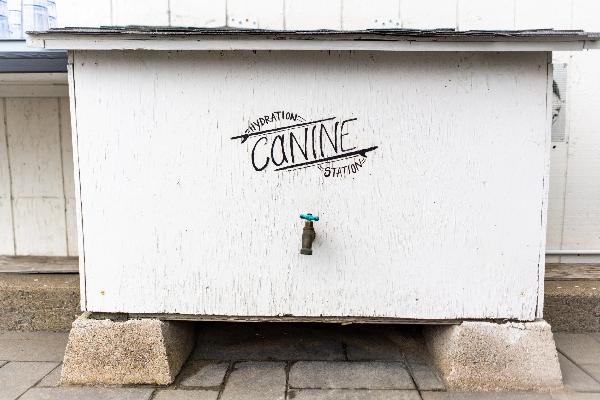 White wooden canine hydration station with a faucet and a hand-drawn sign that says 'Hydration Canine Station'.