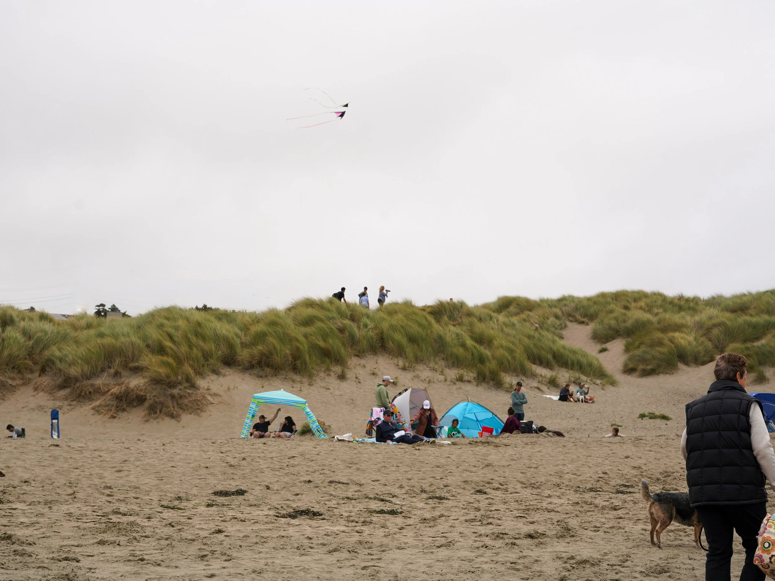 People relaxing on the beach, some sitting under umbrellas, others sitting on the sand, with grassy dunes and kite surfers in the background.
