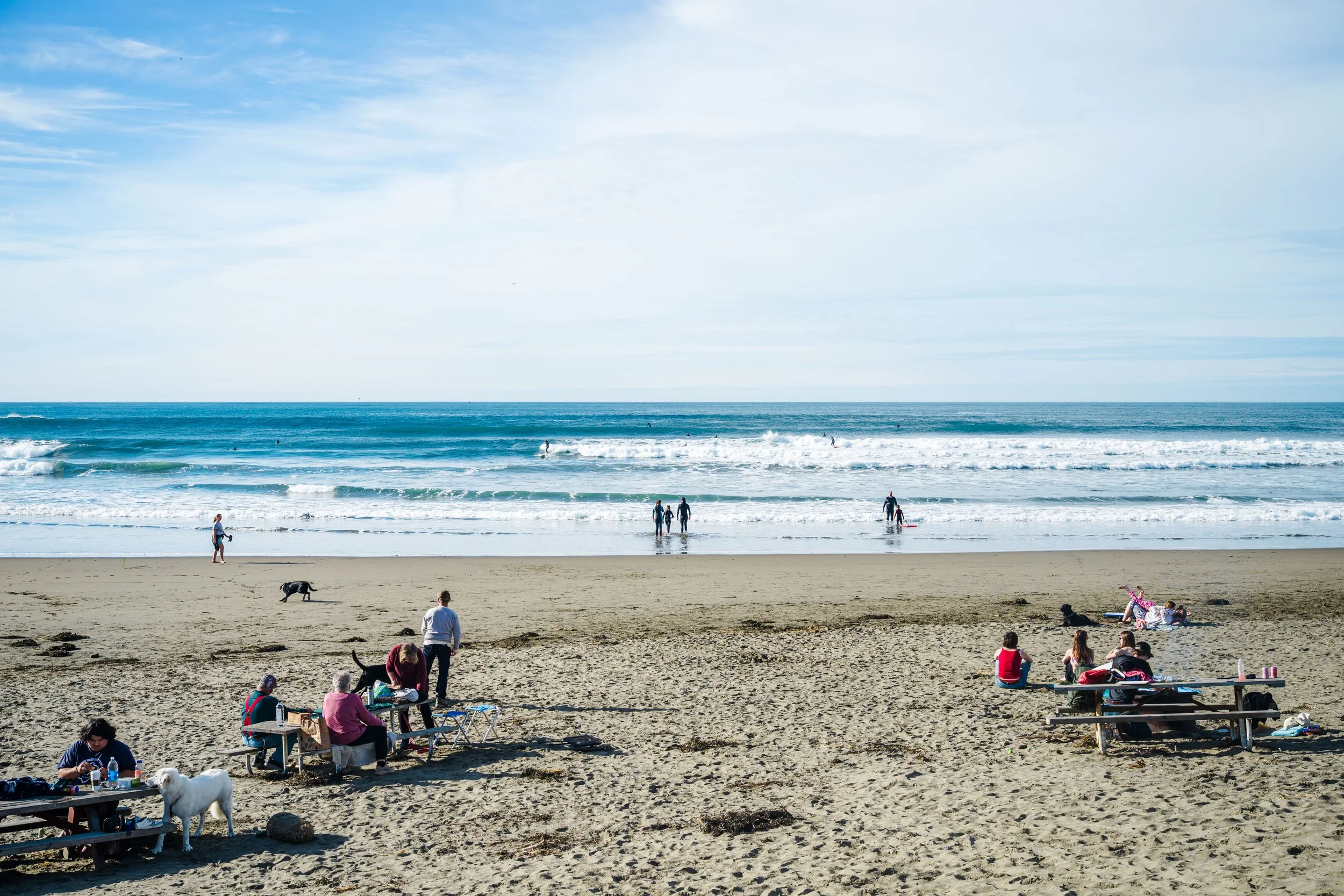 People sitting and relaxing on the sandy beach, some walking dogs, and others near the shoreline with surfers in the water, under a partly cloudy sky.