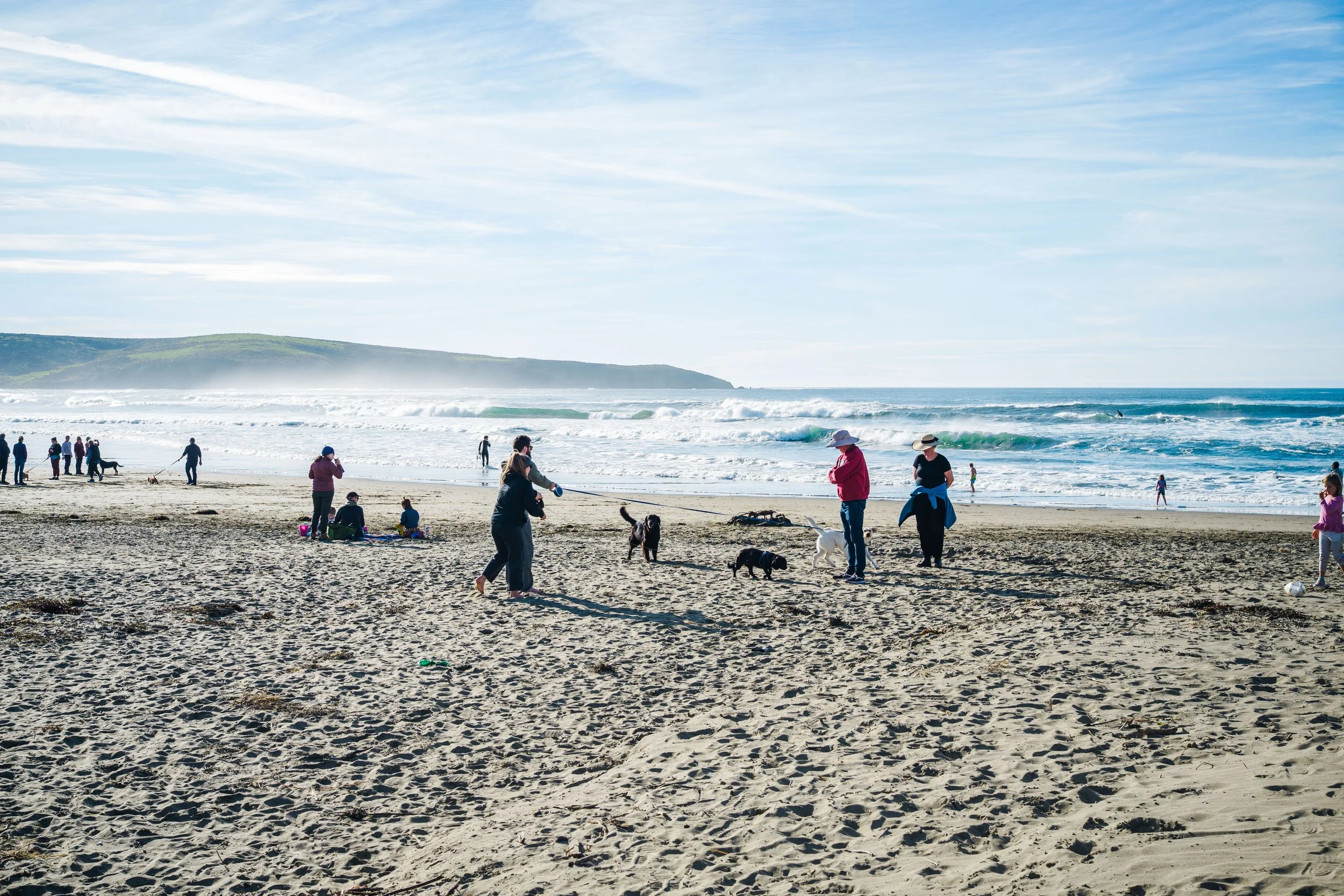 Beach scene with people, dogs, and waves, under a partly cloudy sky with hills in the background.