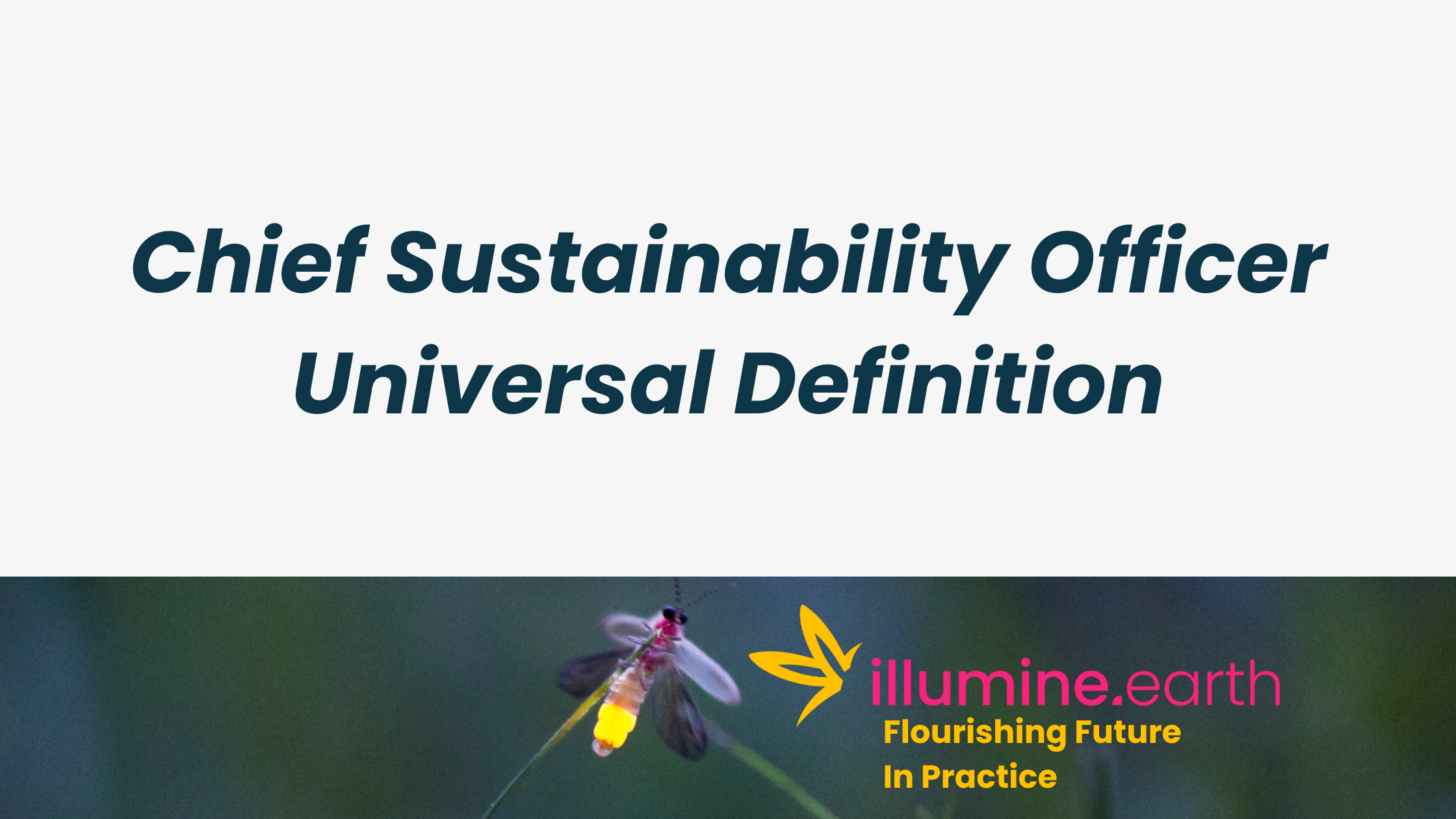 Chief Sustainability Officer Universal Definition